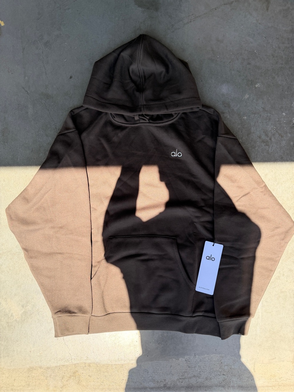 Alo Colorblock Hoodie in brown